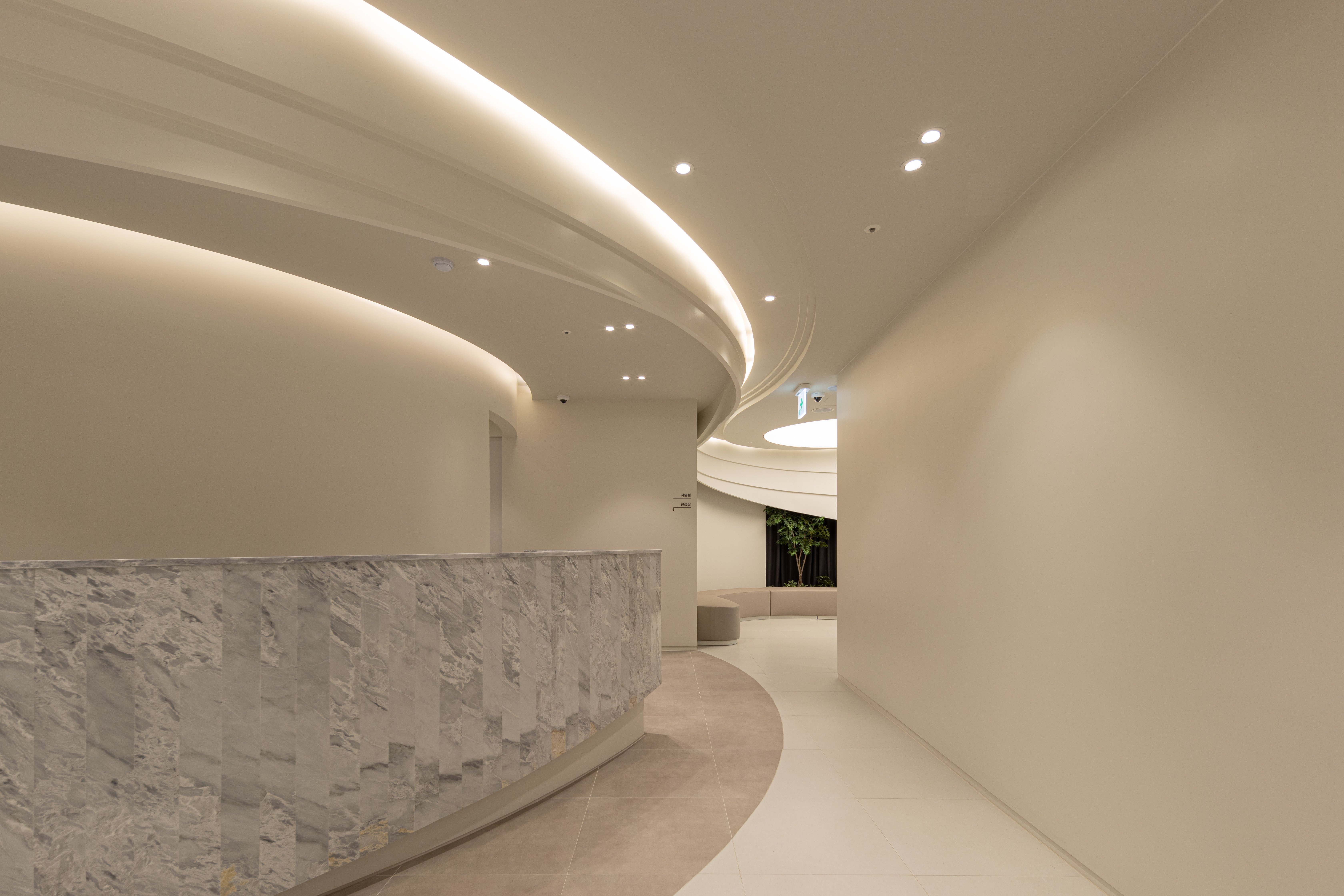 XERF anti aging treatment Seoul